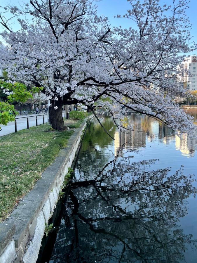 Four Points Flex By Sheraton Tokyo Ueno 3*